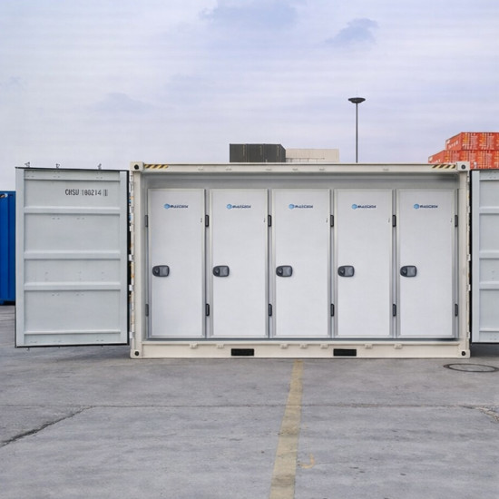 20 Body Mortuary Chamber in Container